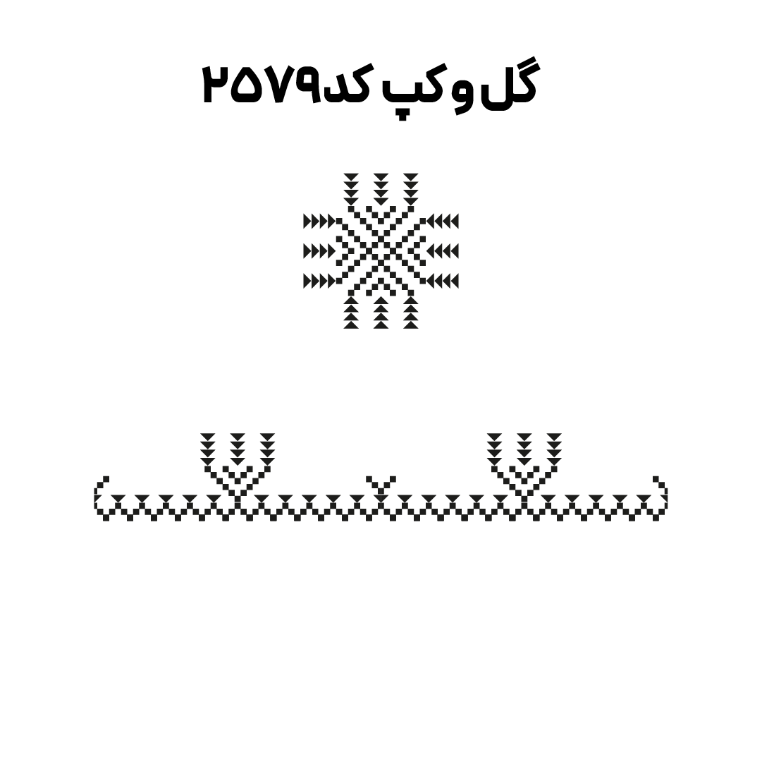 کد2579